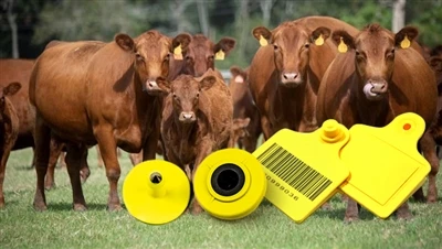 RFID для управления животноводством